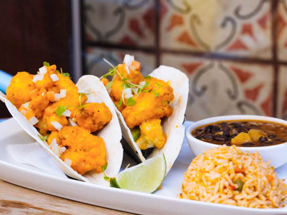 Philly's Best Vegan Eats Sincerely Katerina